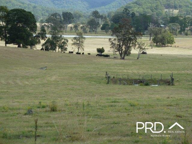 Photo - Lot2/950 Benns Road, Shannon Brook NSW 2470 - Image 21