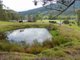 Photo - Lot53 Gorge Creek Road, Grevillia , Kyogle NSW 2474 - Image 2