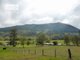 Photo - Lot53 Gorge Creek Road, Grevillia , Kyogle NSW 2474 - Image 3