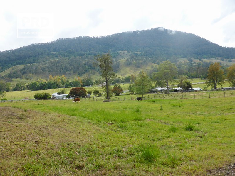 Photo - Lot53 Gorge Creek Road, Grevillia , Kyogle NSW 2474 - Image 4