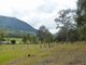 Photo - Lot53 Gorge Creek Road, Grevillia , Kyogle NSW 2474 - Image 5