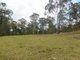 Photo - Lot53 Gorge Creek Road, Grevillia , Kyogle NSW 2474 - Image 6