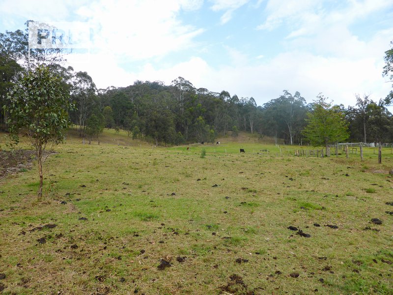 Photo - Lot53 Gorge Creek Road, Grevillia , Kyogle NSW 2474 - Image 10