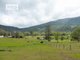 Photo - Lot53 Gorge Creek Road, Grevillia , Kyogle NSW 2474 - Image 12