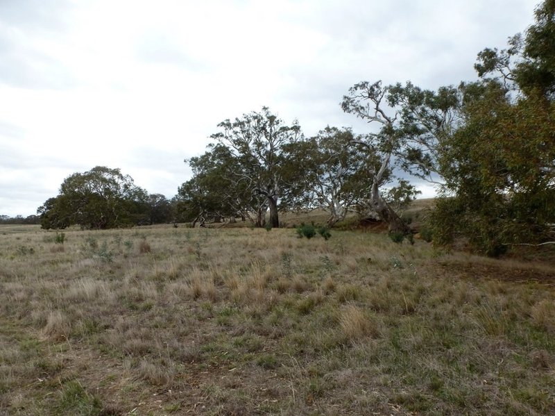 Photo - Lots 1 & 2 Old Geelong Road, Ararat VIC 3377 - Image 7