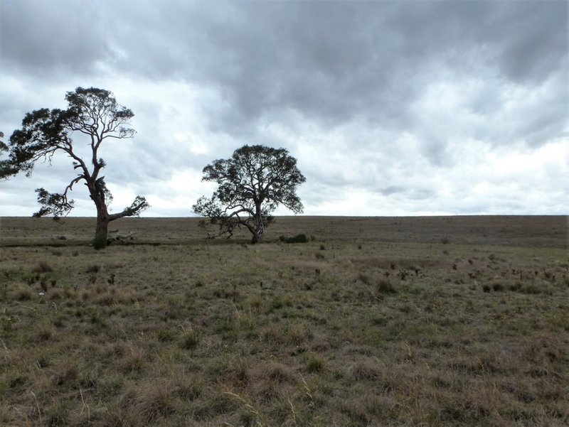 Photo - Lots 1 & 2 Old Geelong Road, Ararat VIC 3377 - Image 11