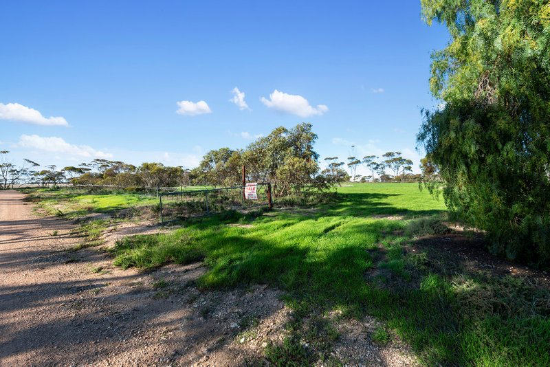 Photo - Lots 125 & 126 High Street, Alford SA 5555 - Image 2