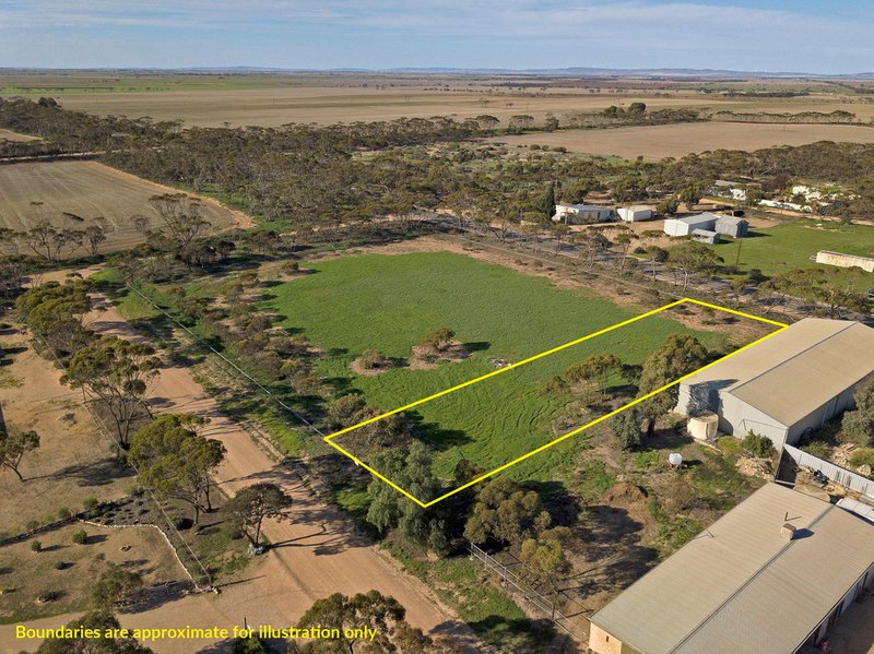 Photo - Lots 125 & 126 High Street, Alford SA 5555 - Image 5