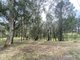 Photo - Lots 2 & 3 Gillespie Street, Cobargo NSW 2550 - Image 1