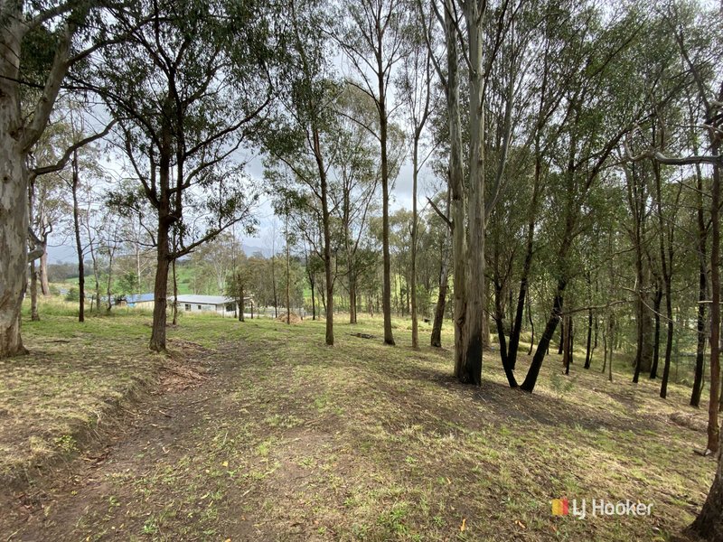 Photo - Lots 2 & 3 Gillespie Street, Cobargo NSW 2550 - Image 3