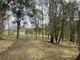 Photo - Lots 2 & 3 Gillespie Street, Cobargo NSW 2550 - Image 3