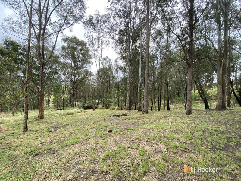 Photo - Lots 2 & 3 Gillespie Street, Cobargo NSW 2550 - Image 5