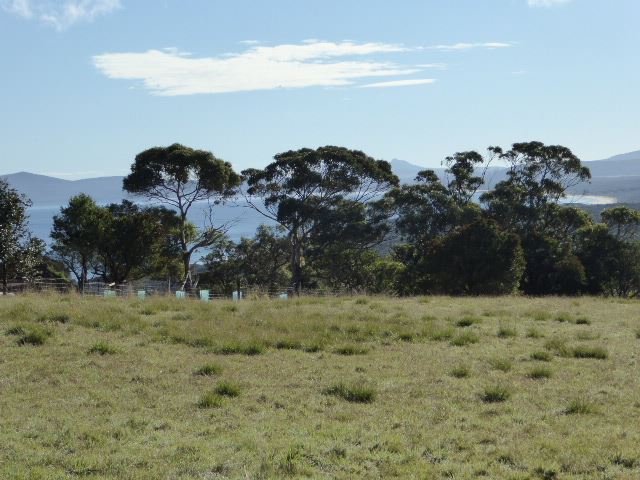 Photo - Lots 3 & 4 Port Davies Road, Emita TAS 7255 - Image