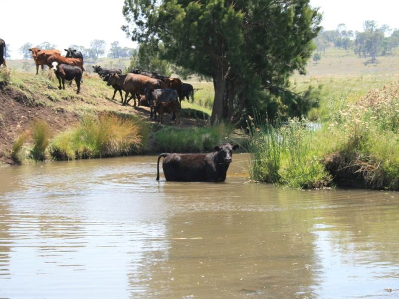 Photo - Lots 3 5 6 Cullendore Road, Murrays Bridge QLD 4370 - Image 6