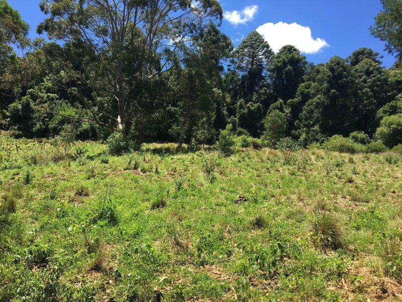 Photo - Lots 32-33 Sheedy Street, Bunya Mountains QLD 4405 - Image 2