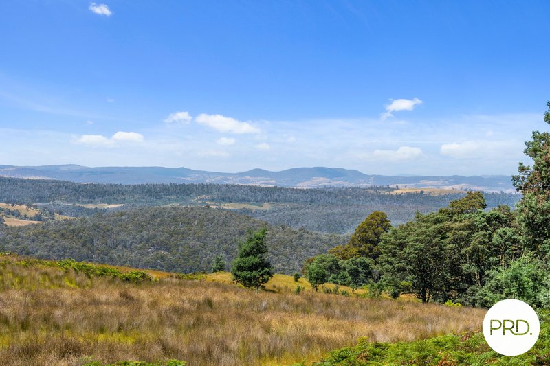 Lots Gully Road, Fentonbury TAS 7140