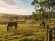 Photo - Lowood QLD 4311 - Image 9