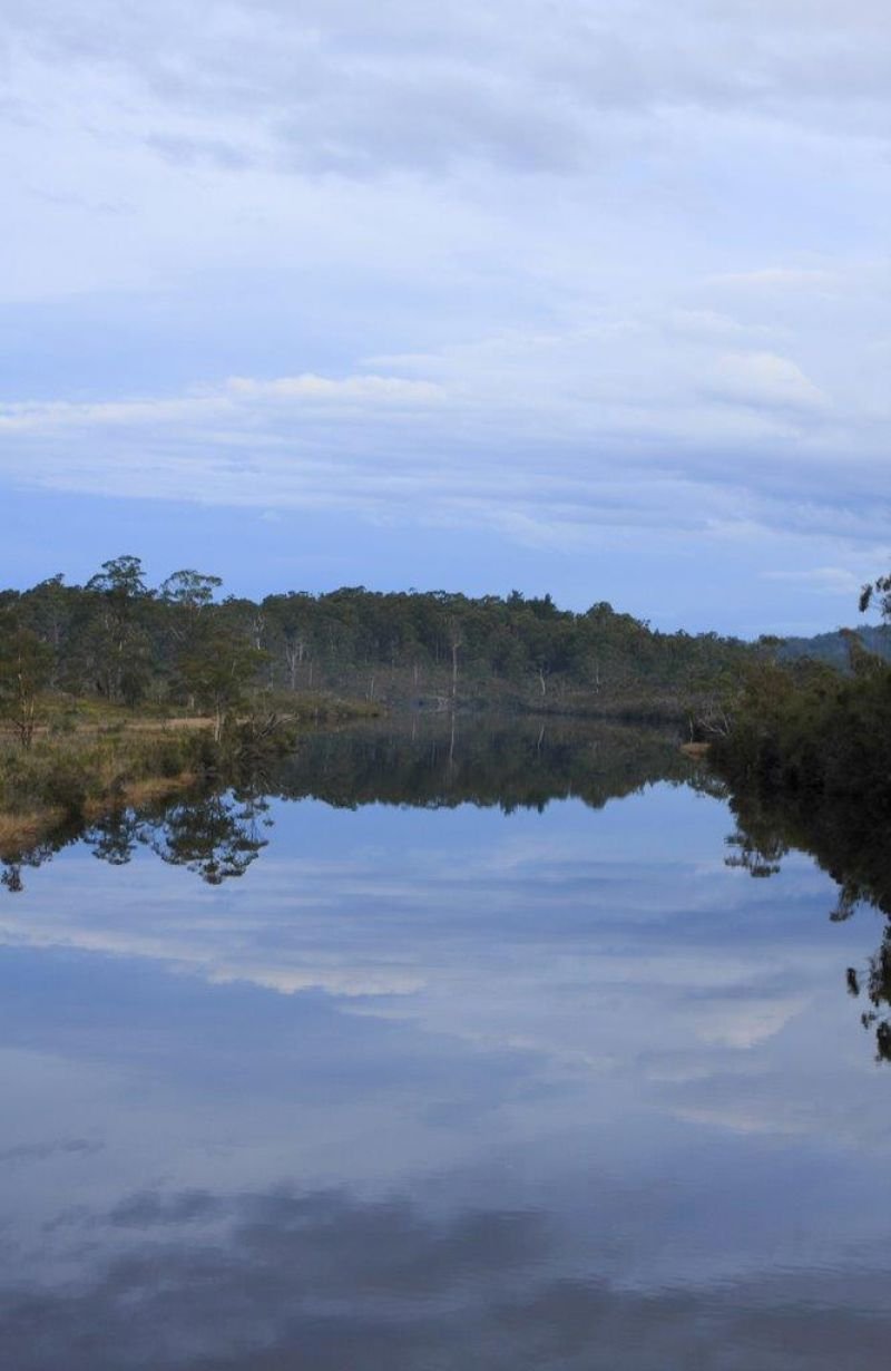 Photo - Lune River TAS 7109 - Image 5