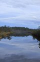 Photo - Lune River TAS 7109 - Image 5