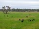 Photo - 'Lyndhurst' 639 Rannock Road, Coolamon NSW 2701 - Image 1