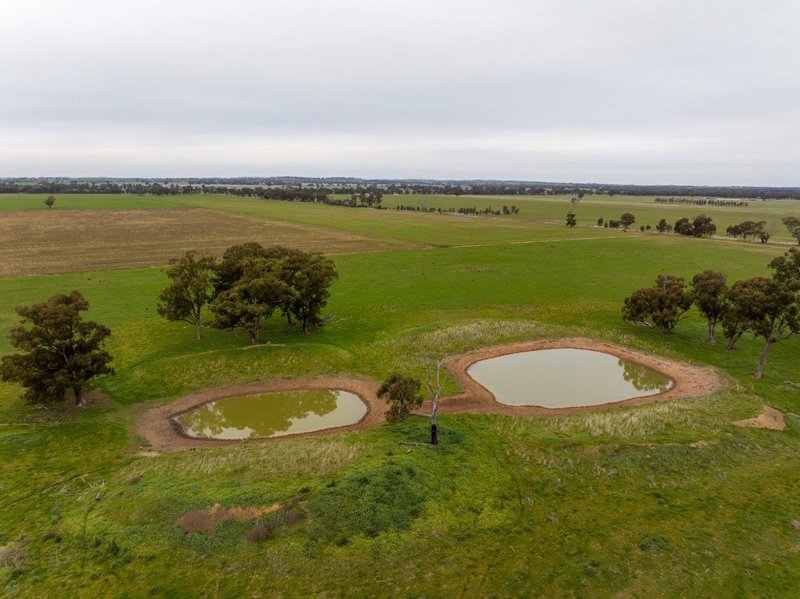 Photo - 'Lyndhurst' 639 Rannock Road, Coolamon NSW 2701 - Image 5