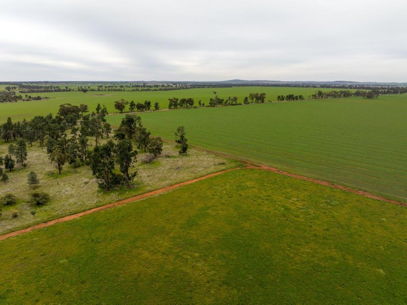 Photo - 'Lyndhurst' 639 Rannock Road, Coolamon NSW 2701 - Image 9