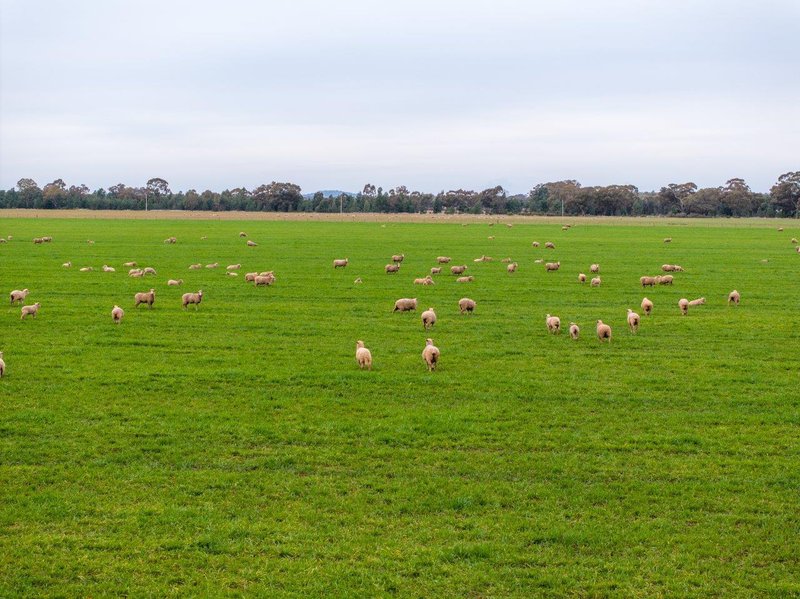 Photo - 'Lyndhurst' 639 Rannock Road, Coolamon NSW 2701 - Image 10