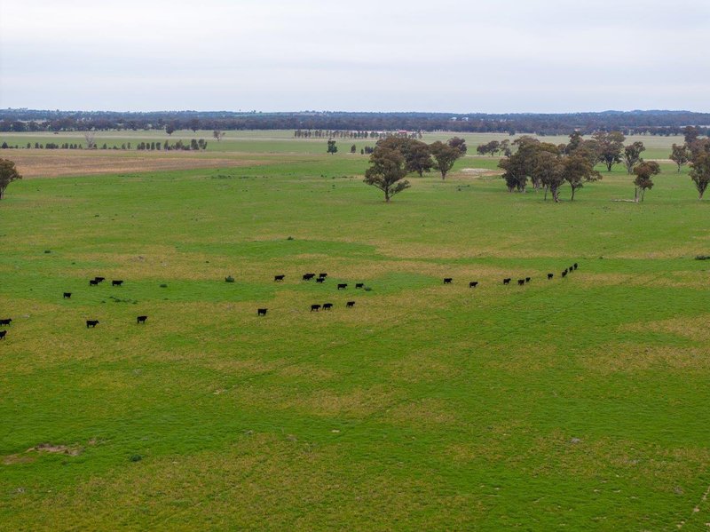 Photo - 'Lyndhurst' 639 Rannock Road, Coolamon NSW 2701 - Image 11