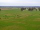 Photo - 'Lyndhurst' 639 Rannock Road, Coolamon NSW 2701 - Image 11