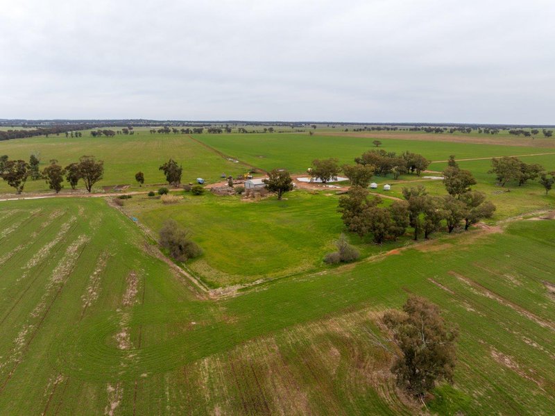 Photo - 'Lyndhurst' 639 Rannock Road, Coolamon NSW 2701 - Image 12