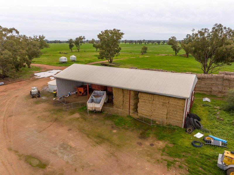 Photo - 'Lyndhurst' 639 Rannock Road, Coolamon NSW 2701 - Image 13