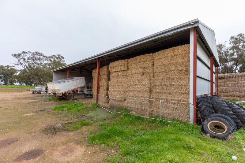 Photo - 'Lyndhurst' 639 Rannock Road, Coolamon NSW 2701 - Image 14