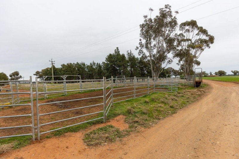 Photo - 'Lyndhurst' 639 Rannock Road, Coolamon NSW 2701 - Image 15