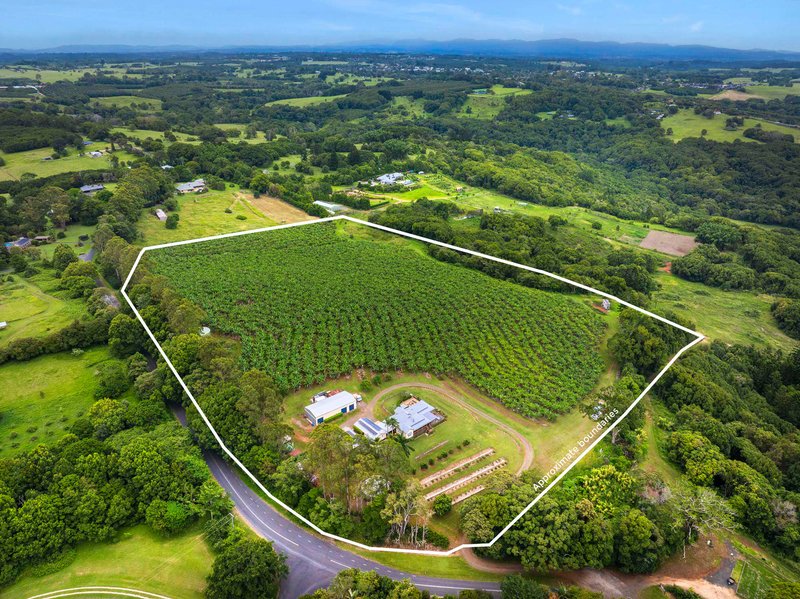 Photo - Lynwood NSW 2477 - Image 19