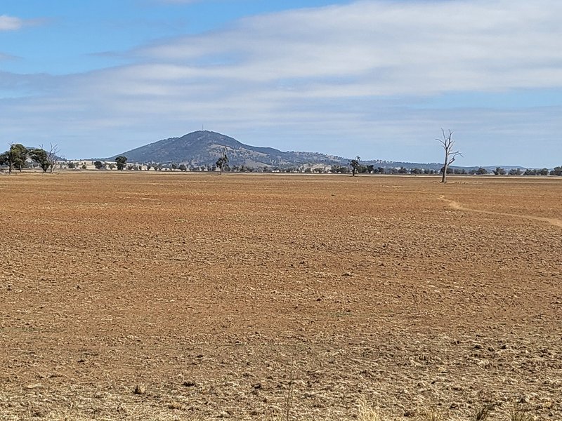 Mafeking Wirrinya Road, Forbes NSW 2871