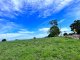Photo - Maleny QLD 4552 - Image 2