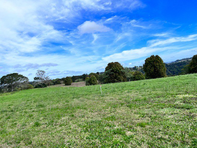 Photo - Maleny QLD 4552 - Image 3