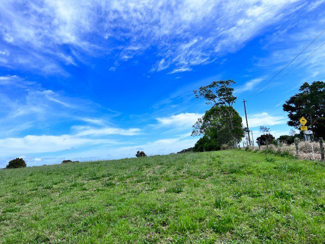 Photo - Maleny QLD 4552 - Image 7