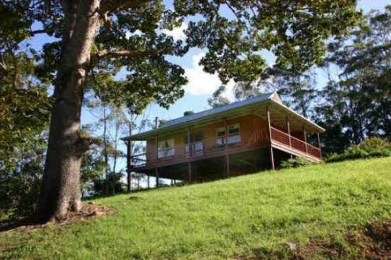 Photo - Maleny QLD 4552 - Image 10