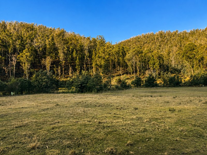 Photo - Mangana TAS 7214 - Image 34