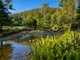 Photo - Mangana TAS 7214 - Image 35