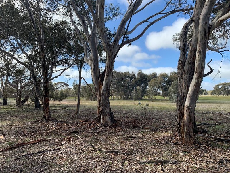 Photo - . Maryvale Track, Ozenkadnook , Edenhope VIC 3318 - Image 11