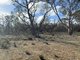 Photo - . Maryvale Track, Ozenkadnook , Edenhope VIC 3318 - Image 13