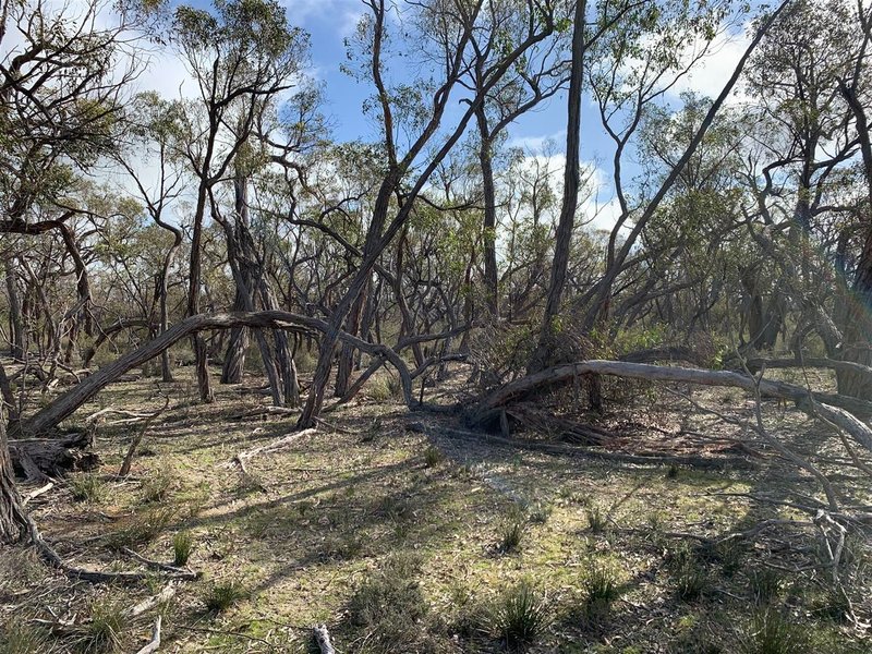 Photo - . Maryvale Track, Ozenkadnook , Edenhope VIC 3318 - Image 15