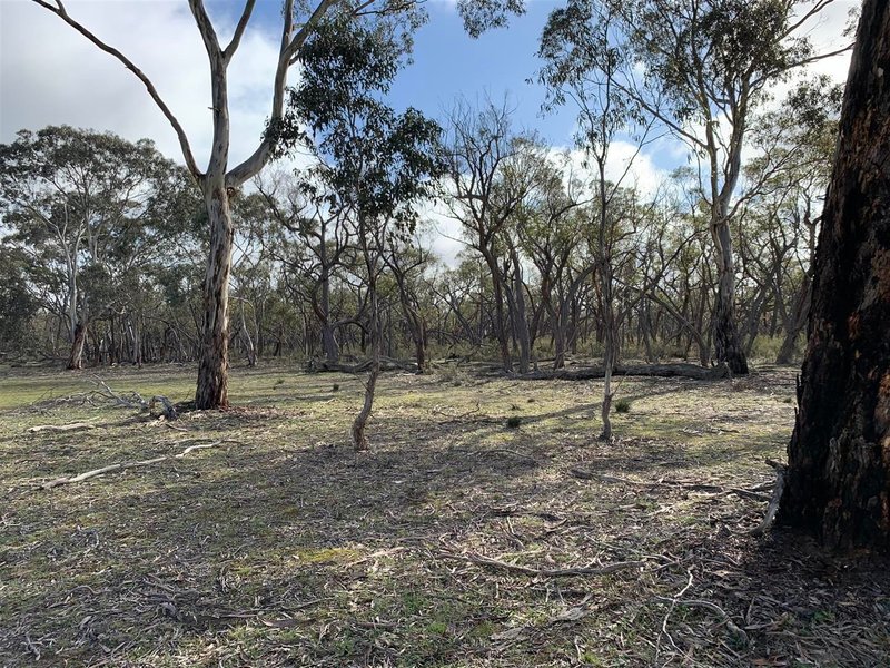 Photo - . Maryvale Track, Ozenkadnook , Edenhope VIC 3318 - Image 18