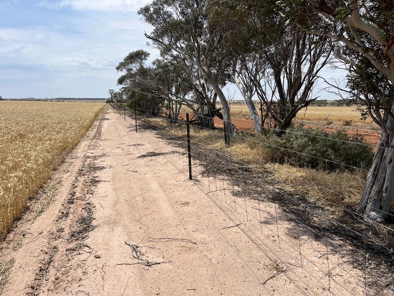 Photo - . 'Mckays' , Cunderdin WA 6407 - Image 6