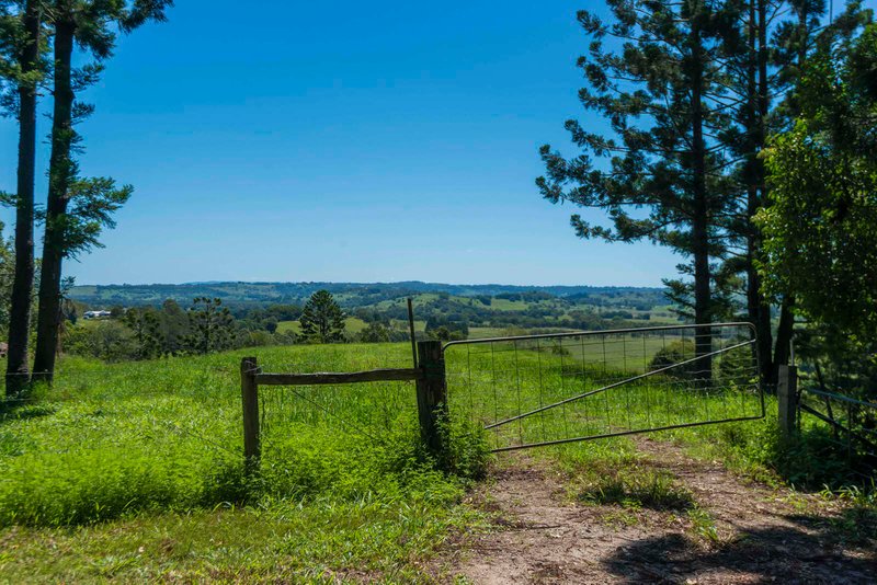 Photo - Mcleans Ridges NSW 2480 - Image 2