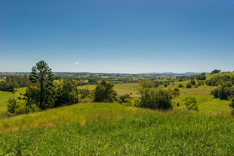 Photo - Mcleans Ridges NSW 2480 - Image 3