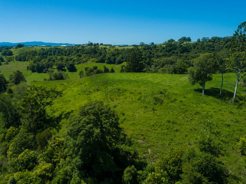 Photo - Mcleans Ridges NSW 2480 - Image 7