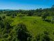 Photo - Mcleans Ridges NSW 2480 - Image 7
